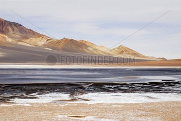 Salar de Aguas Calientes Los Flamencos reserve Atacama Chili