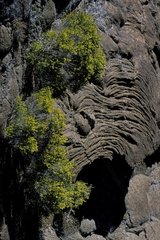 Cave in the lava flow stringed of Piton de la Fournaise