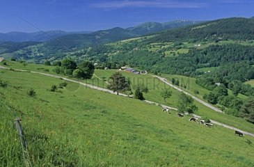 Vosges im Wettstein France Pass bezahlt