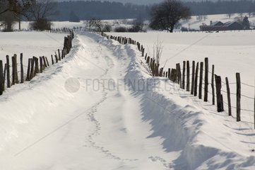 Schneeweg in Haut-Doubs im Winter Frankreich