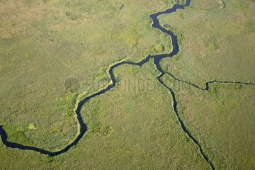 Air shot of the Narew river Poland