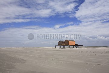 HÃ¼tte am Strand Schiermonnikoog NP Niederlande