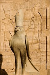 Rule of Horus the god Faucon Temple of Edfou Egypt
