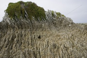 Oligocene tilted folded vertical limestone rocks on coast