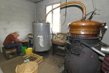 Distillation of eau de vie kirsch in farm Cholley France