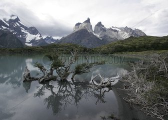Gletschersee in Torres del Paine np Chile