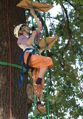 A boy climbing a tree to remind in tree climbing