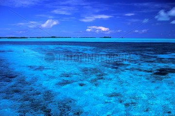 Paysage Palau Micronesie