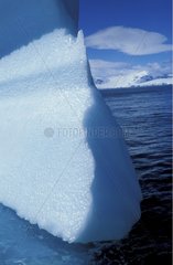 Iceberg Péninsule Antarctique