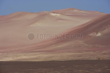 Desert absolute of the Paracas National Reserve Peru