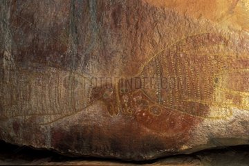 Cave paintings aboriginals representing of the creatures