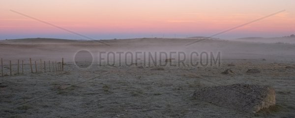Morning fog on meadows Aubrac France