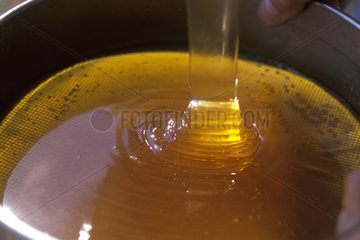 Coulée de miel France