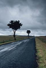 Road after the rain on the plateau of Mézenc Auvergne