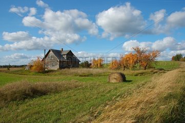 Autumn landscape in Latvia