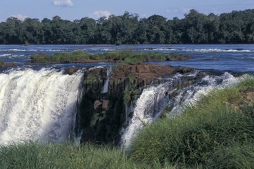 Cascades of the Iguaçu river in the rain forest Argentina