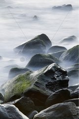 Nebel auf Felsen im Mittelmeerspanien