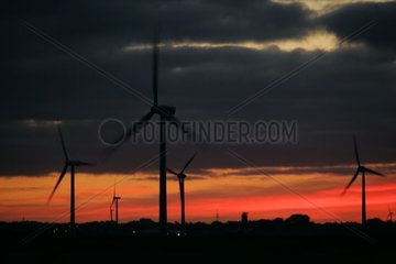 Windmühle bei Tagesanbruch Husum Deutschland [at]