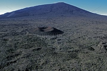 Crater Formica leo Piton de la Fournaise La Réunion