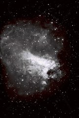 La nébuleuse Oméga ou M 17 dans le ciel étoilé