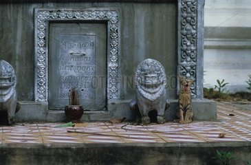 Chat de gouttière baillant à coté de statues Cambodge