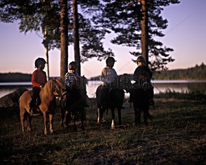 Mini pony rides under the midnight sun Sweden