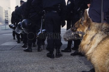 Mundled Dog und CRS Hundehandler in der Straße Paris Frankreich
