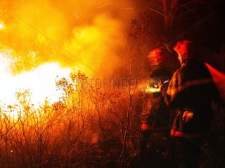 Feuerwehrleute kämpfen gegen ein Feuer in Var France