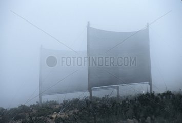 Filets de captage de vapeur d'eau des nuages côtiers Chili