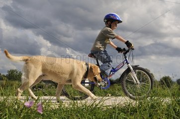 Boy in mountain bicycle with his Labrador