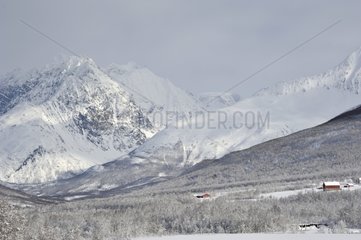 Snowy landscape in winter - Norway