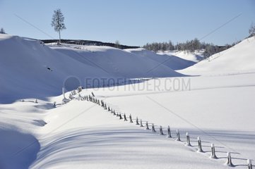 Snowy landscape in winter - Norway