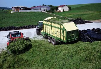 Ensilage d'herbe pour l'alimentation du bétail Lorraine