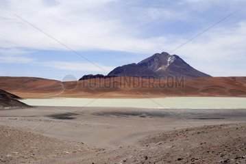 Laguna Lejia und Leija Volcano Atacama Chili