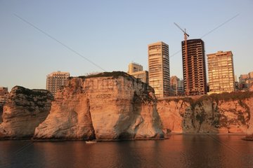 Rock pigeon and buildings of Beirut at dusk Lebanon