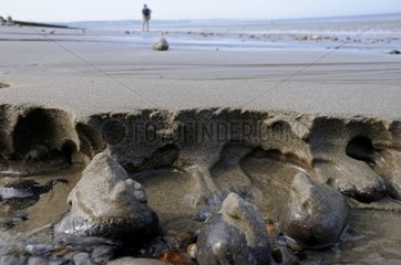 Erosion of the sand at low tide in the Somme Bay France
