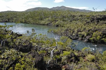 River La Madeleine New Caledonia