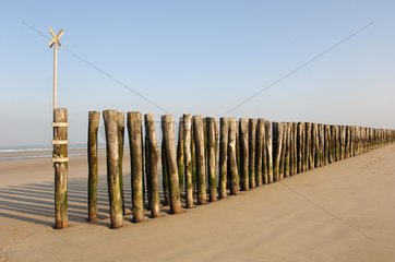 Wooden pickets on a sand beach Grand-Fort-Philippe