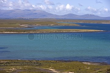 Coastal landscape in Saunders Island Falkland Islands