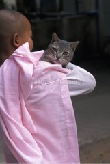 Buddhist nun wearing a gray cat on his shoulder Burma