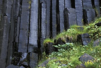 Orgues basaltiques Parc National de Skaftafell Islande