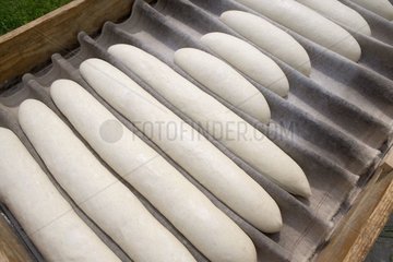 Brotstäbe auf einem Teller  der für Frankreich gekocht werden kann