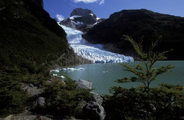 Glacier Balmaceda Patagonie Chili