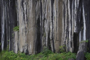 Basaltic organs Iceland