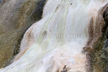 Mammoth Hot Springs area in the Yellowstone NP in the USA