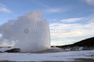 Old Faithful geyser in the Yellowstone NP in the USA
