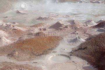 Bubbling mud in the Yellowstone NP in the USA