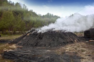 Manufacture of charcoal northwestern Romania