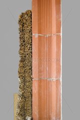 Wall insulation with natural materials