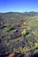 Cerdanya landscape in autumn Spain